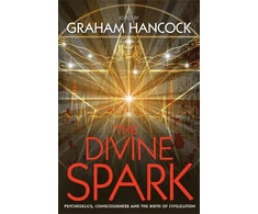 KNYGA Graham Hancock Divine Spark
