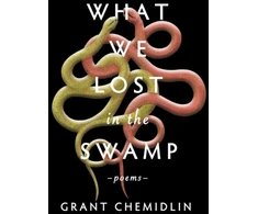 KNYGA Grant Chemidlin What We Lost in the Swamp