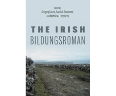 KNYGA Gregory Castle Irish Bildungsroman