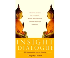 KNYGA Gregory Kramer Insight Dialogue
