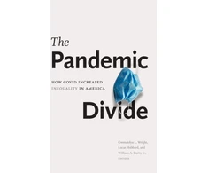 KNYGA Gwendolyn L Wright Pandemic Divide