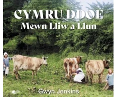 KNYGA Gwyn Jenkins Cymru Ddoe Mewn Lliw a Llun