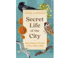 KNYGA Hanna Hagen Bjrgaas Secret Life of the City