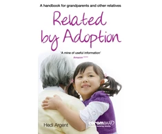 KNYGA Hedi Argent Related by Adoption