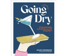 KNYGA Hilary Sheinbaum Going Dry: A Workbook