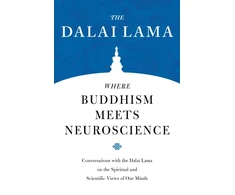 KNYGA Lama Where Buddhism Meets Neuroscience