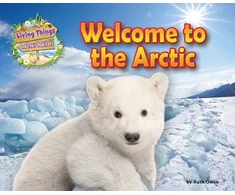 KNYGA Honor Head Welcome to the Arctic