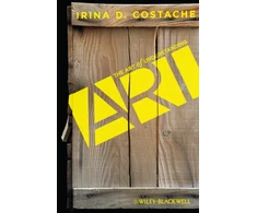 KNYGA Irina Dana Costache Art of Understanding Art