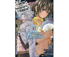 KNYGA Is It Wrong to Try to Pick Up Girls in a Dungeon? On the Side: Sword Oratoria, Vol. 17 (manga)