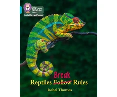 KNYGA Isabel Thomas Reptiles Break Rules