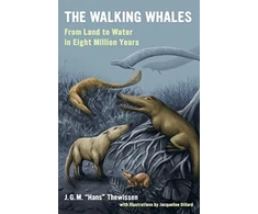 KNYGA J. G. M. "Hans" Thewissen Walking Whales