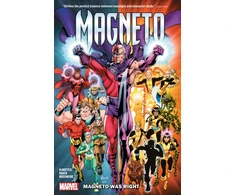 KNYGA J M Dematteis Magneto: Magneto Was Right