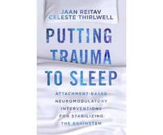 KNYGA Jaan Reitav Putting Trauma to Sleep