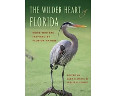 KNYGA Jack E Davis Wilder Heart of Florida