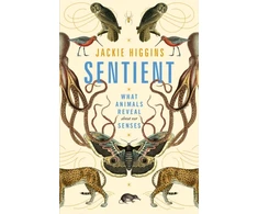 KNYGA Jackie Higgins Sentient