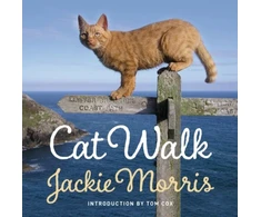 KNYGA Jackie Morris Cat Walk