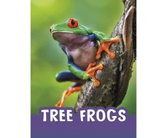 KNYGA Jaclyn Jaycox Tree Frogs