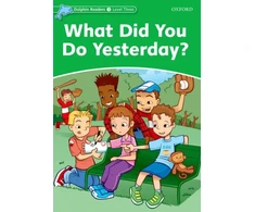 KNYGA Jacqueline Martin Dolphin Readers Level 3: Level 3: What Did You Do Yesterday?