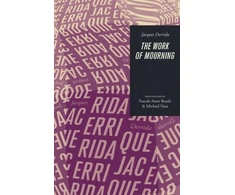 KNYGA Jacques Derrida Work of Mourning