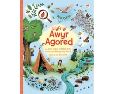 KNYGA James Alice Llyfr yr Awyr Agored