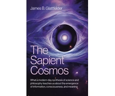 KNYGA James B Glattfelder Sapient Cosmos, The