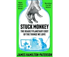 KNYGA James Hamilton Paterson Stuck Monkey