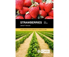 KNYGA James Hancock Strawberries