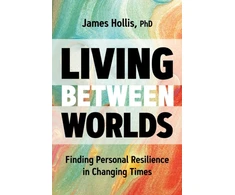 KNYGA James Hollis Living Between Worlds
