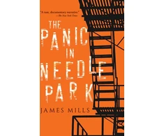 KNYGA James Mills Panic in Needle Park