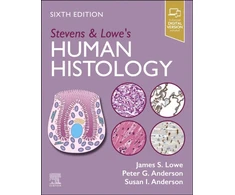 KNYGA James S Lowe Stevens &amp; Lowe's Human Histology