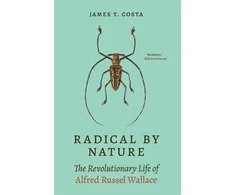 KNYGA James T Costa Radical by Nature