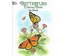 KNYGA Jan Sovak Butterflies Coloring Book