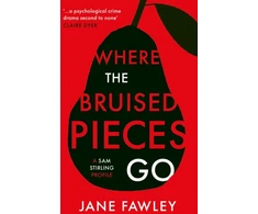 KNYGA Jane Fawley Where the Bruised Pieces Go