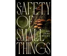 KNYGA Jane Hicks Safety of Small Things