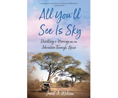 KNYGA Janet A Wilson All You'll See Is Sky