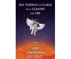 KNYGA Jason Schneiderman Self Portrait of Icarus as a Country on Fire