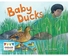 KNYGA Jay Dale Baby Ducks