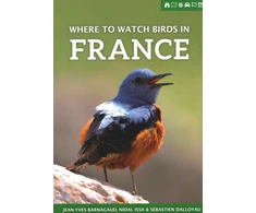 KNYGA Jean Yves Barnagaud Where to Watch Birds in France
