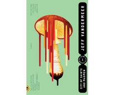 KNYGA Jeff Vandermeer City of Saints and Madmen