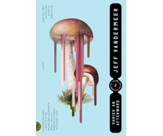 KNYGA Jeff Vandermeer Shriek