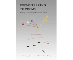 KNYGA Jeffrey Levine Poems Talking to Poems