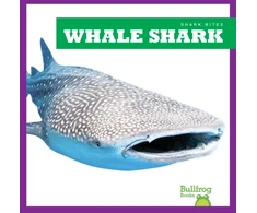 KNYGA Jenna Lee Gleisner Whale Shark