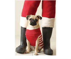 KNYGA Jennifer Adams Pug Elf Notecards