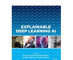 KNYGA Jenny Benois Pineau Explainable Deep Learning AI