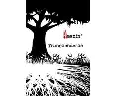 KNYGA Jeremy Adams Amazin' Transcendence