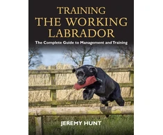KNYGA Jeremy Hunt Training the Working Labrador