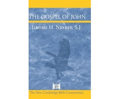 KNYGA Jerome H Neyrey Gospel of John