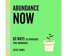 KNYGA Jesse Sands Abundance Now