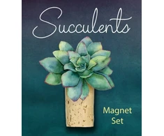 KNYGA Jessie Oleson Moore Succulents Magnet Set