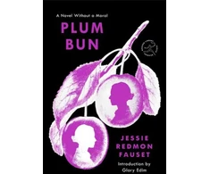 KNYGA Jessie Redmon Fauset Plum Bun